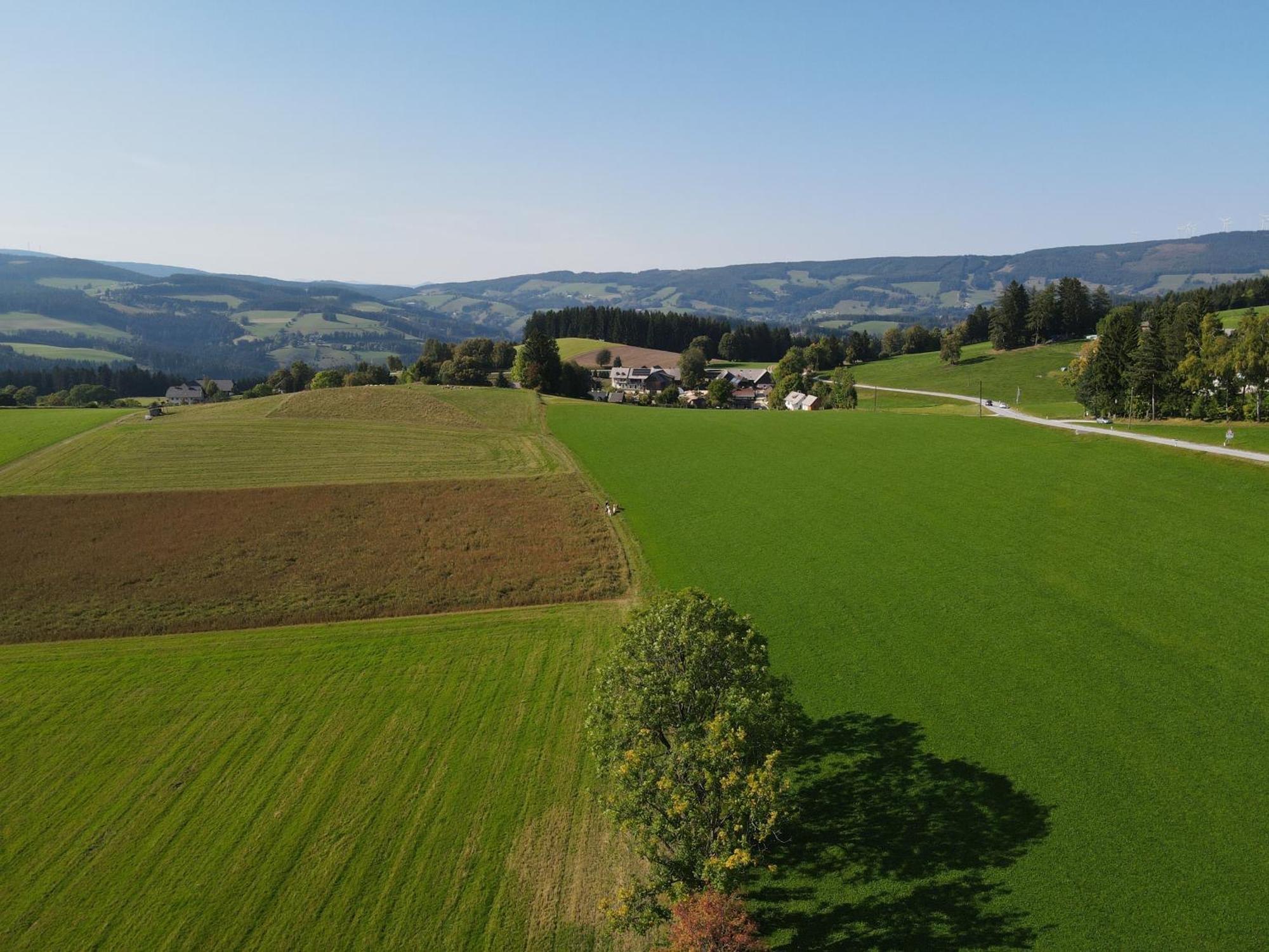Biohof Kroisleitner Sankt Jakob im Walde Extérieur photo