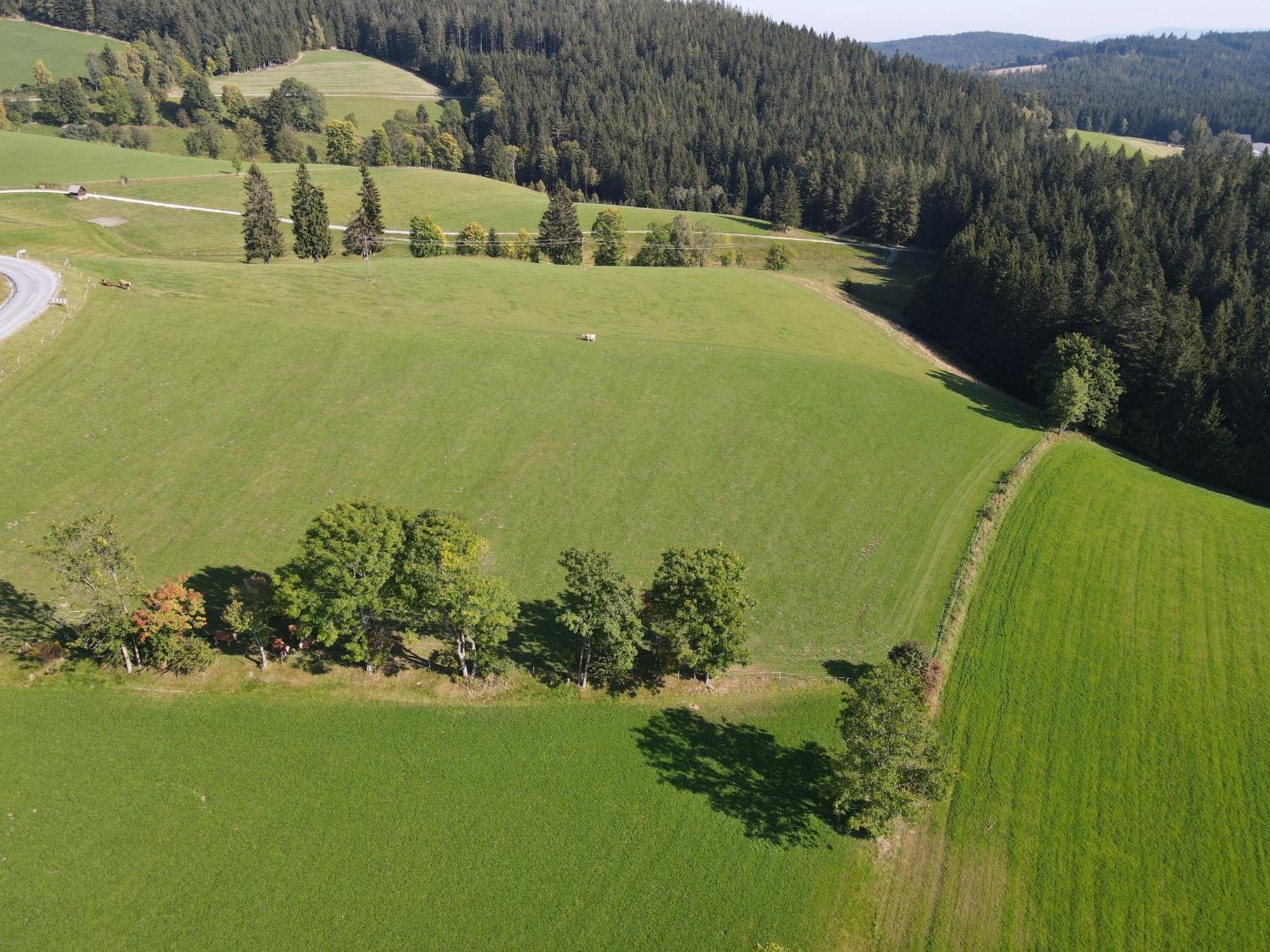 Biohof Kroisleitner Sankt Jakob im Walde Extérieur photo