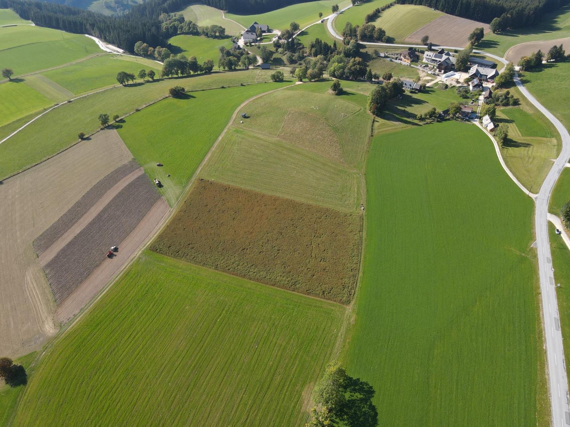 Biohof Kroisleitner Sankt Jakob im Walde Extérieur photo